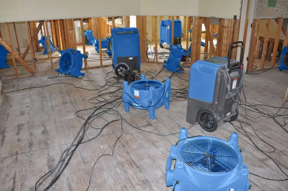 Water Damage Restoration in Bellingham, WA