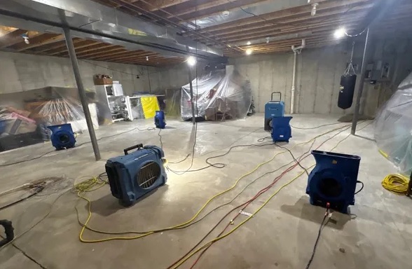 Basement Mold Cleanup in Bellingham, WA