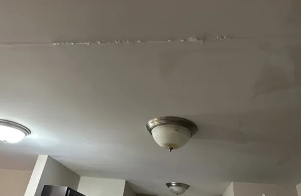 Ceiling Mold Removal in Bellingham, WA