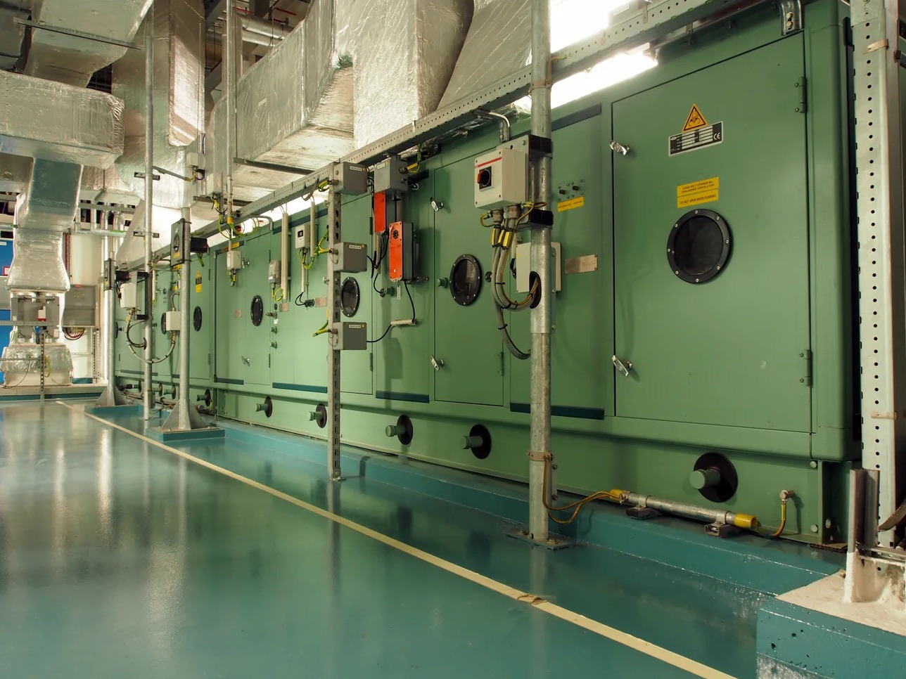 Heating System Mold Cleanup in Bellingham, WA