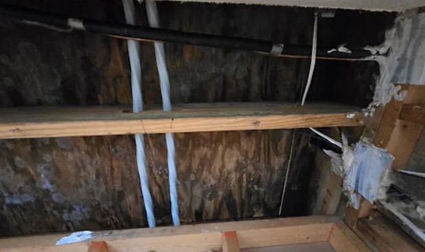Attic Mold Remediation in Bellingham, WA