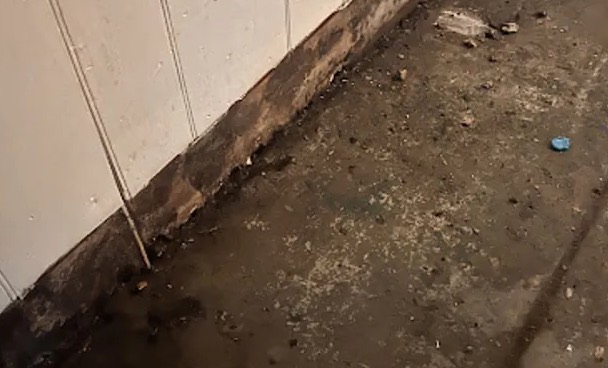 Sewage Backup Cleanup in Bellingham, WA