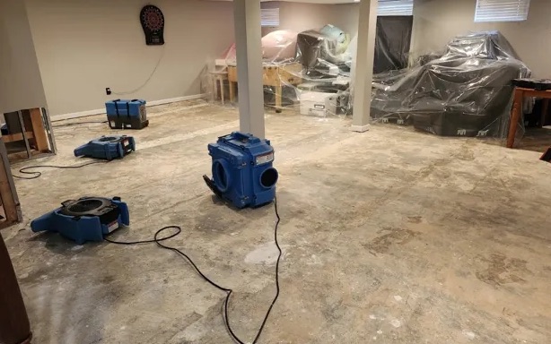 Deodorization Services in Bellingham, WA